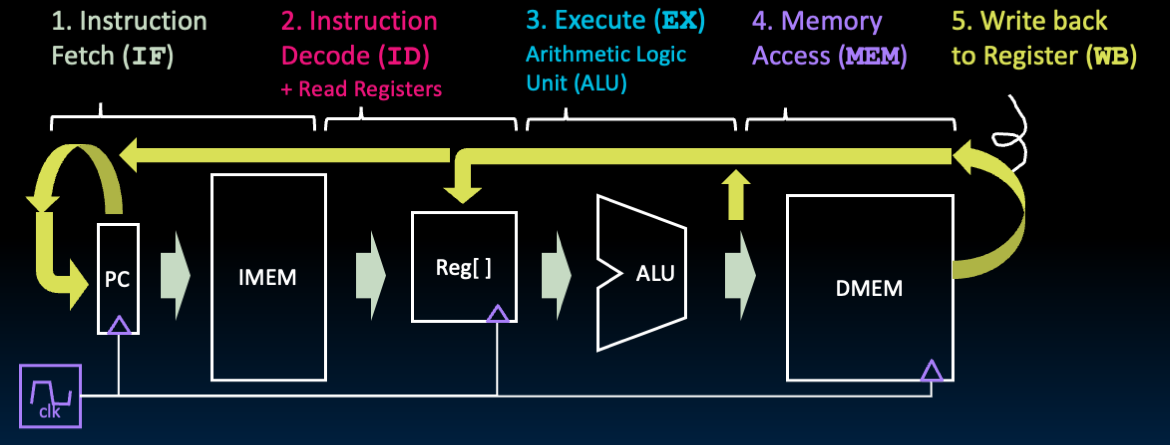 Single-cycle datapath overview labeled by IF, ID, EX, MEM, and WB showing state elements, ALU and mux paths across one instruction cycle.